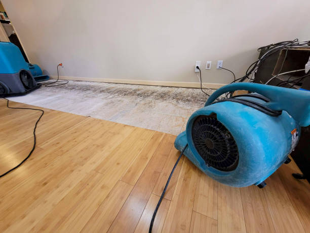 Professional Water Removal technician working in Farber, MO